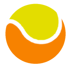 Kids Orange Ball Tennis